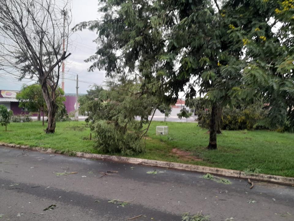 Foto 8 de 29 — Tempestade derruba dezenas de árvores e causa prejuízos em Boa Esperança do Sul
